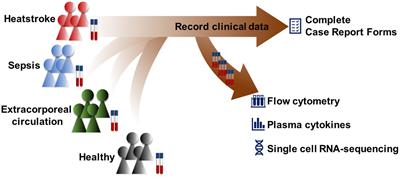 Comparison of immune cell profiles associated with heatstroke, sepsis, or cardiopulmonary bypass: Study protocol for an exploratory, case-control study trial